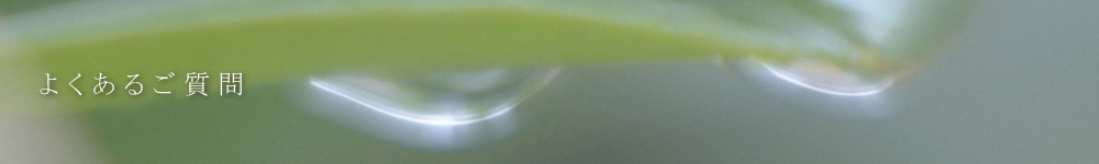 よくあるご質問